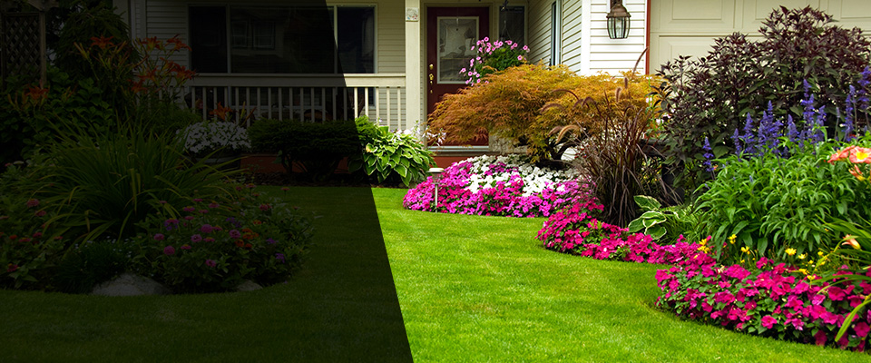 Scotts Landscapers